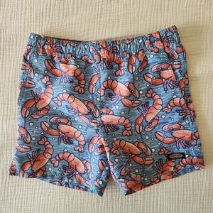 Vinyard Vines Boys Bathing Suit Sz 6